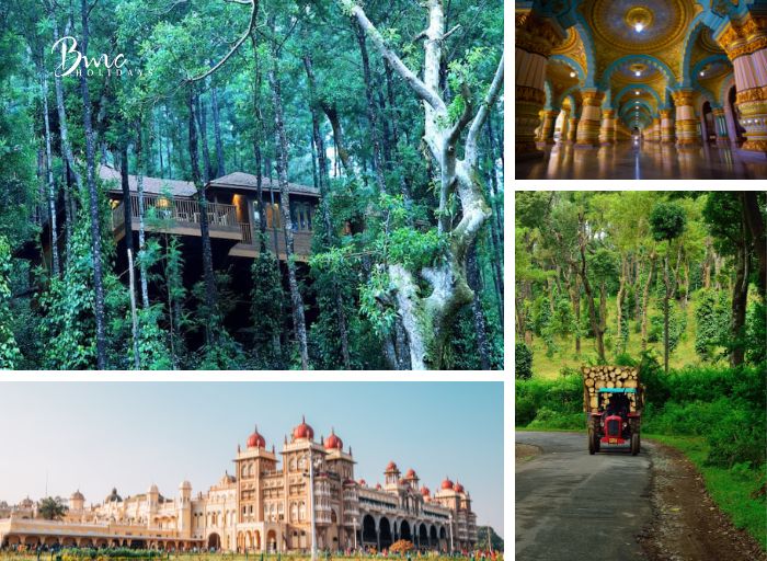 Mysore coorg tour package image